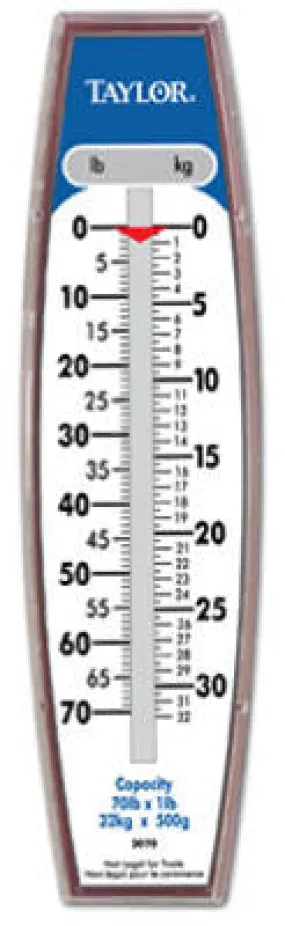 (3) ea TAYLOR 30704104 70 lb Capacity Heavy Duty Industrial Hanging Scales