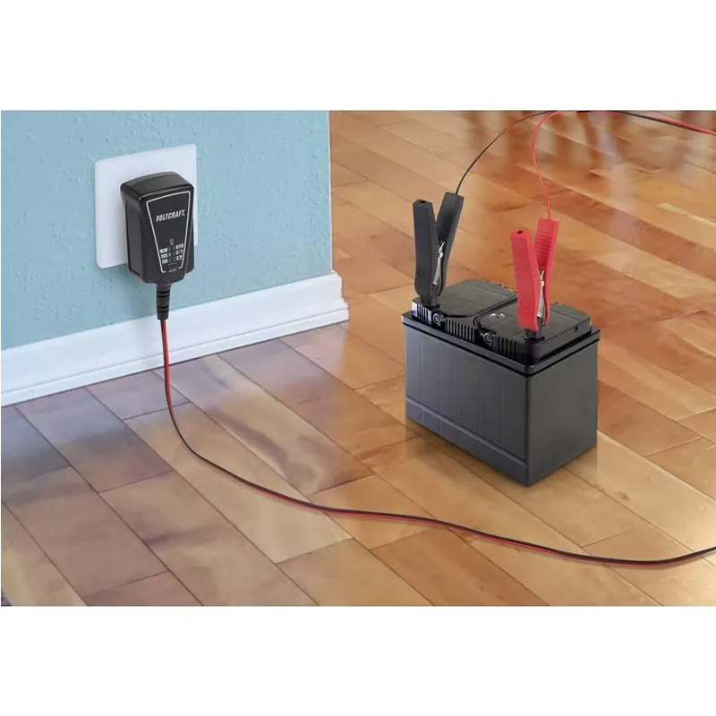 6V-12V Versatile Pulse Repair Charger Q-Cd1202