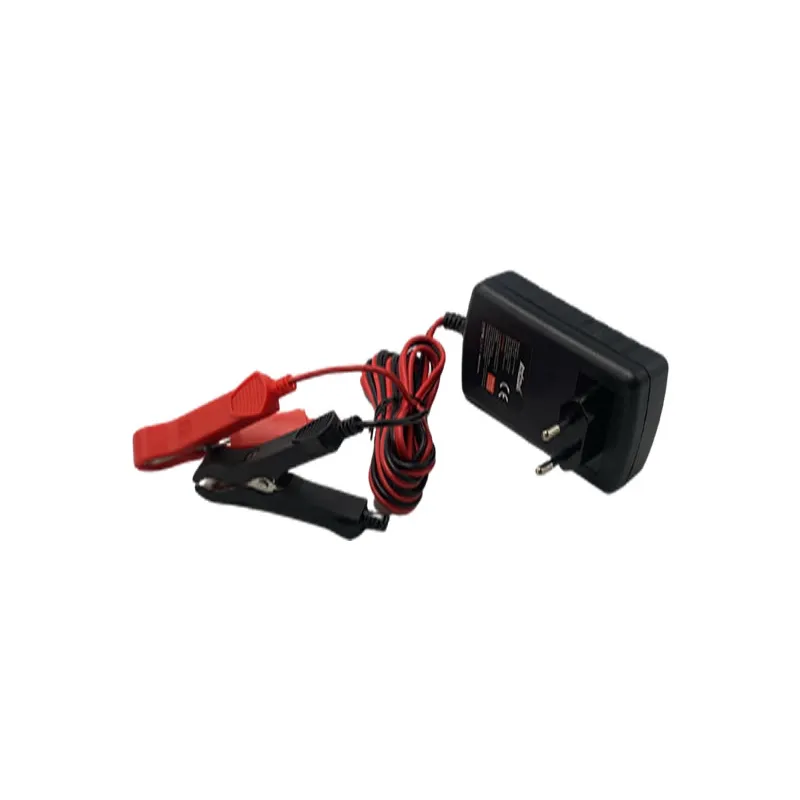 6V-12V Versatile Pulse Repair Charger Q-Cd1202