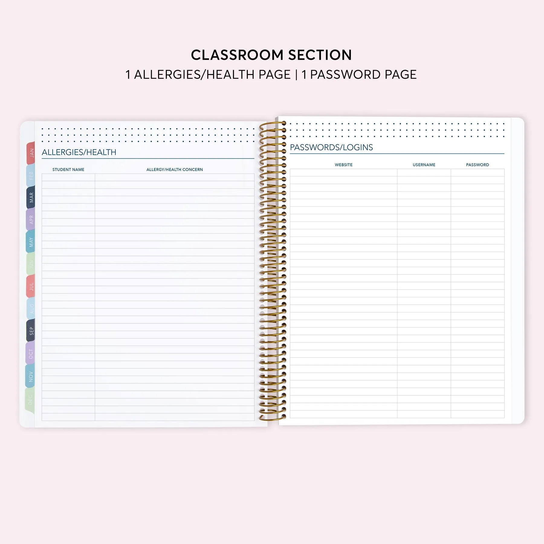8.5x11 Teacher Planner - Flower Frame Blue