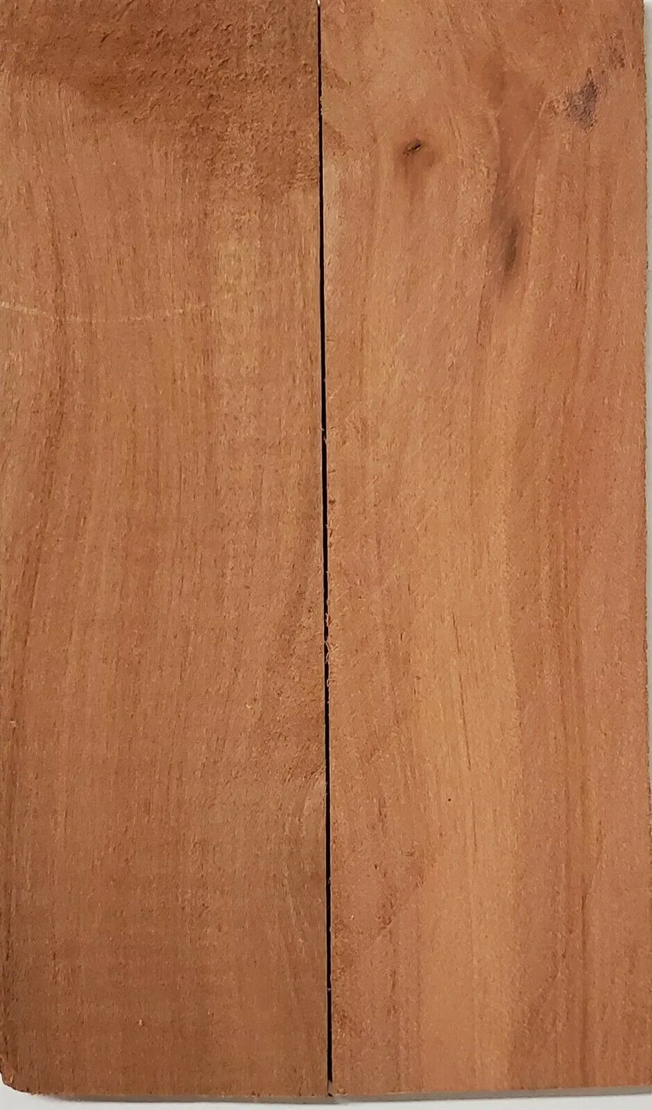 Apple (2 pc) Knife Scaless 1/4" x 1 1/2" x 5" - (10)