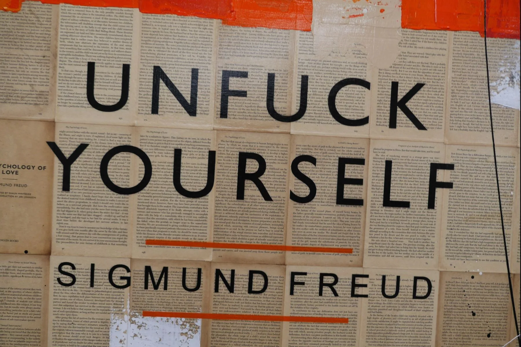 Completely Unfucked 140cm x 100cm Unfuck Yourself Urban Pop Book Club Painting (SOLD)