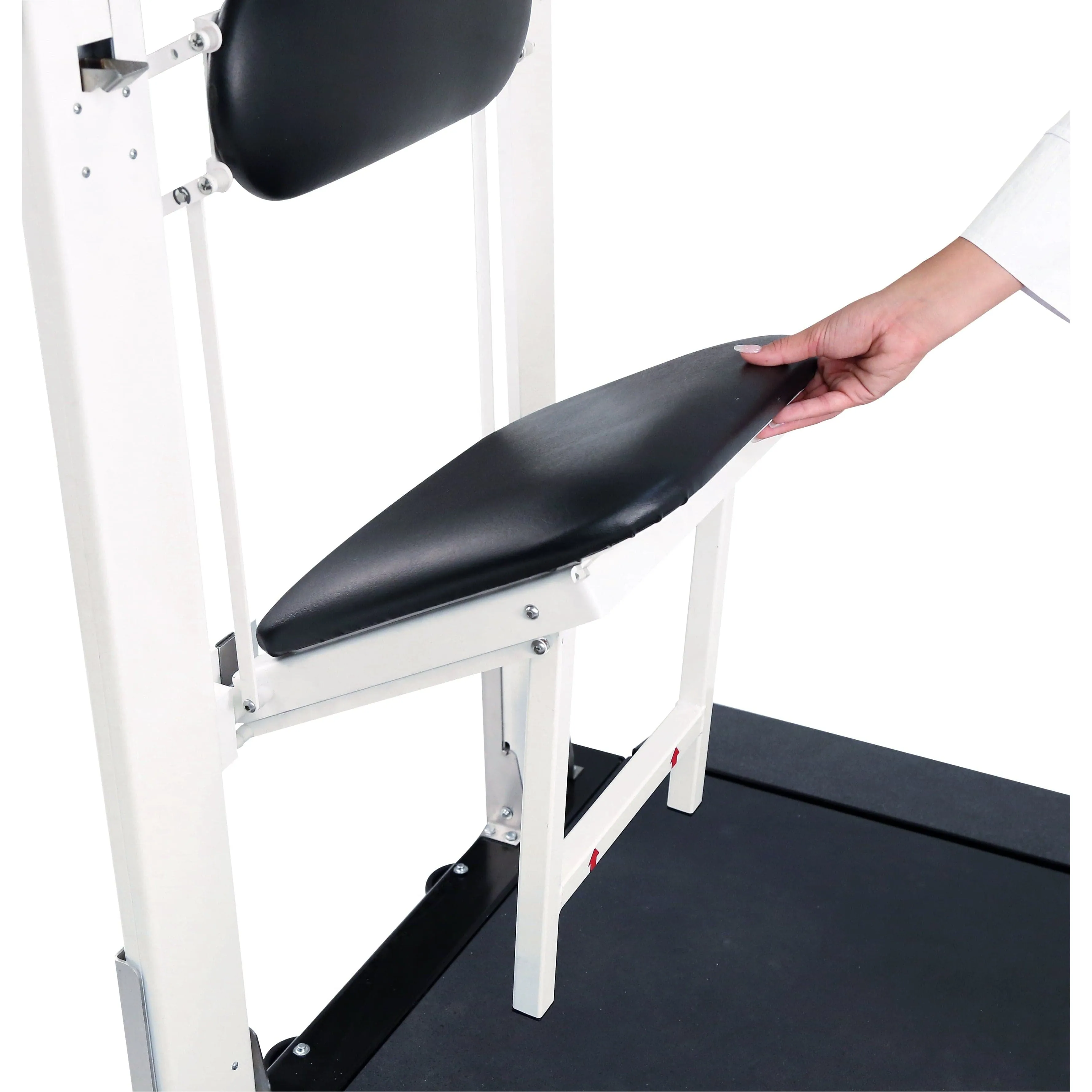 Detecto Portable Wheelchair Scale with Handrail and Seat