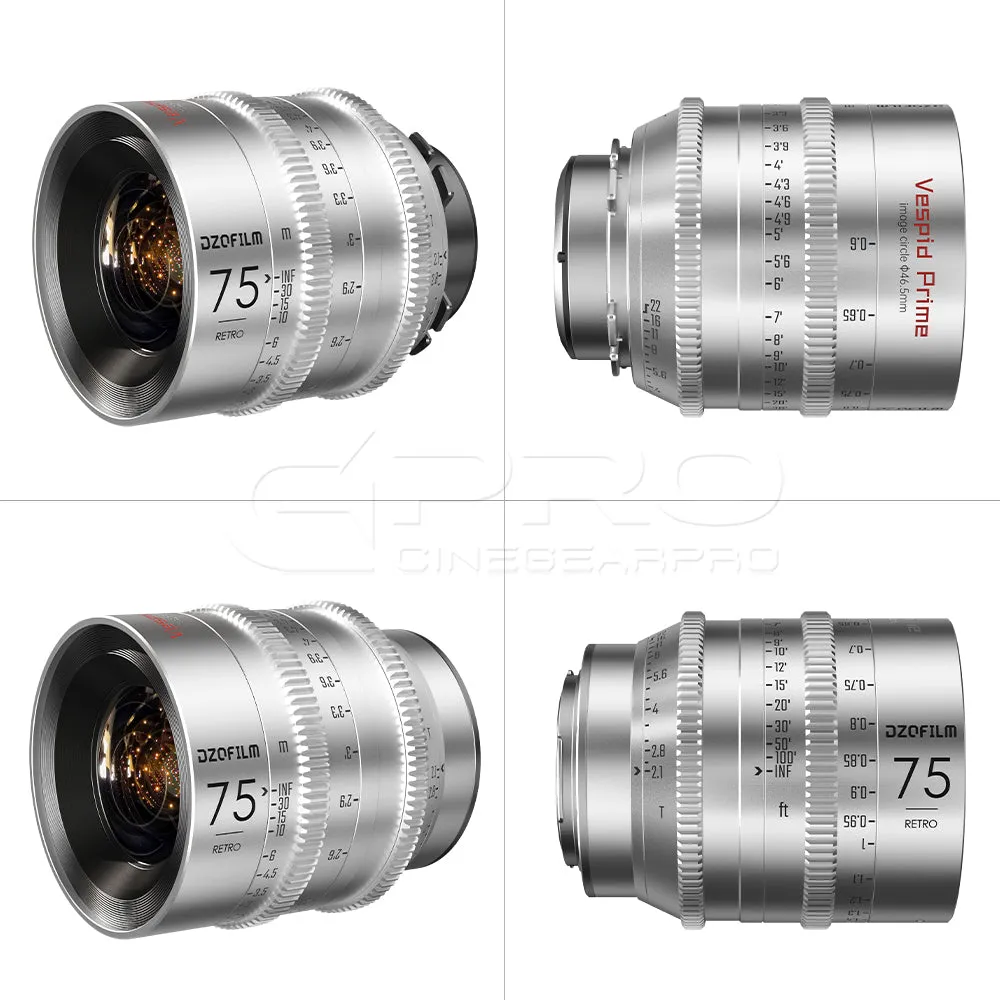 DZOFILM Vespid Retro 16/35/75/125mm 4 Lens set B (PL/EF Mount)