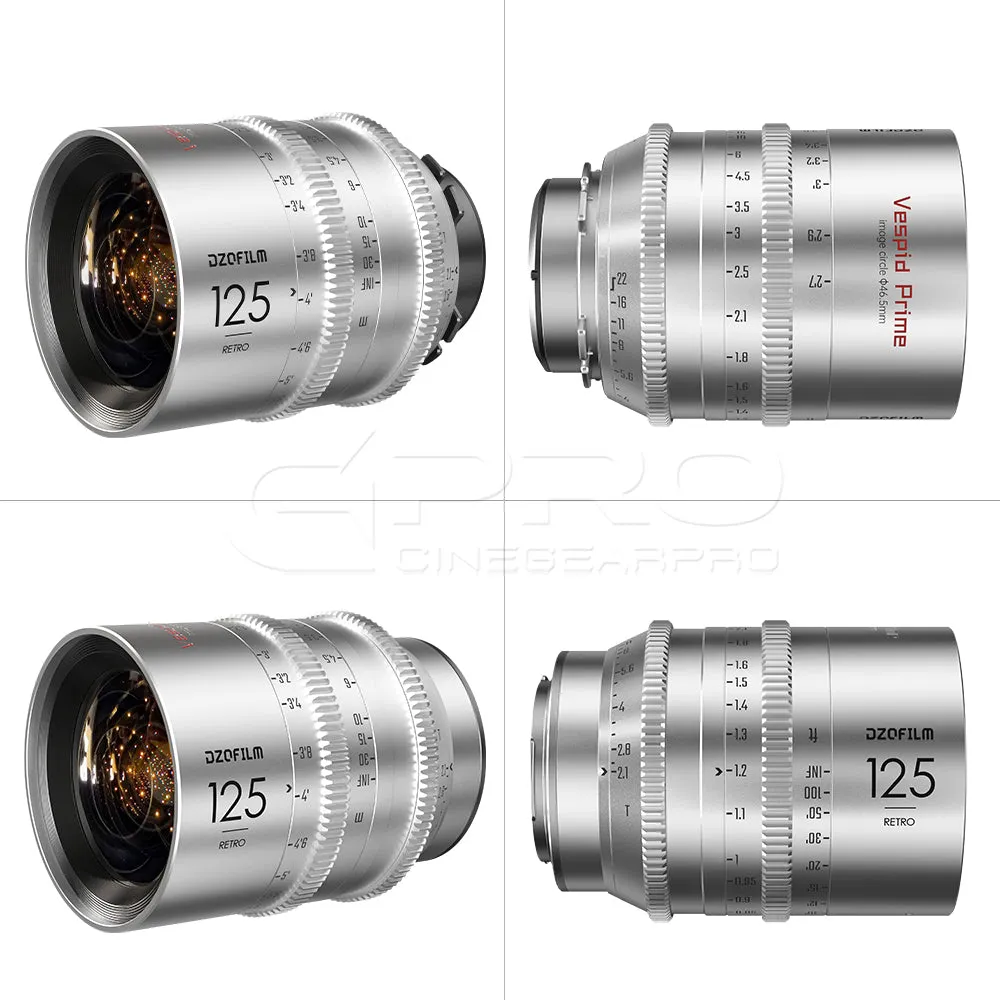 DZOFILM Vespid Retro 16/35/75/125mm 4 Lens set B (PL/EF Mount)
