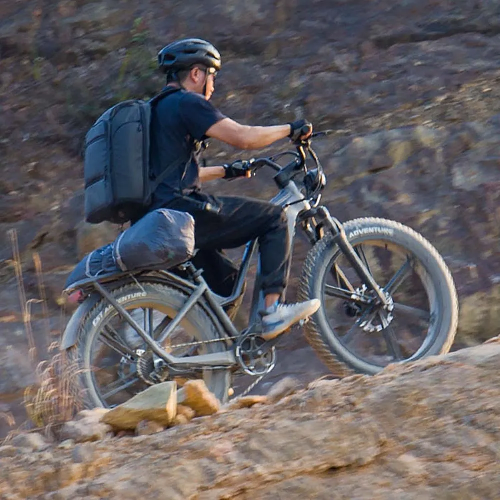 Fiido Titan Electric Cargo Bike