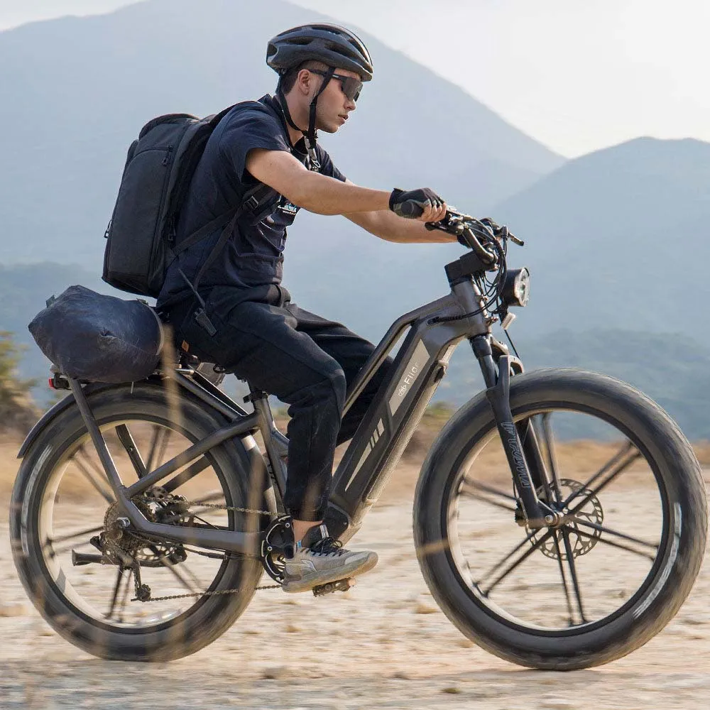 Fiido Titan Electric Cargo Bike