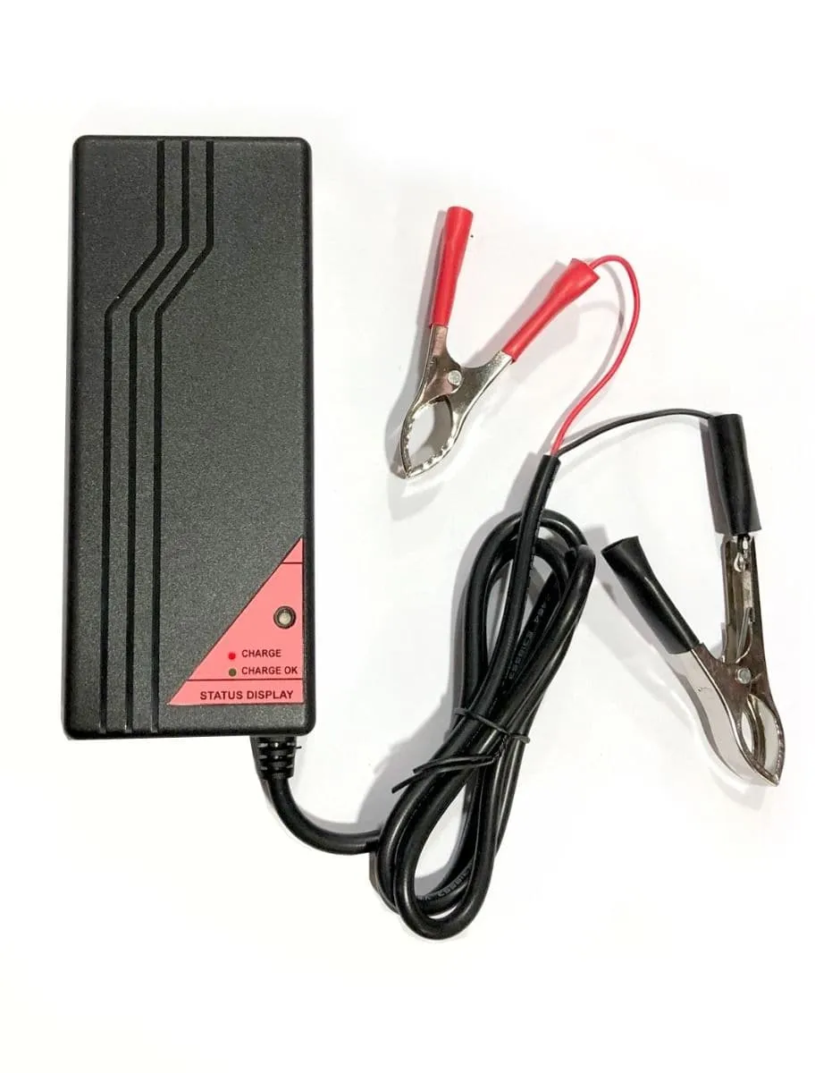 Maplin Plus 12V 10 Amp Smart Battery Charger for Lithium LiFePO4 Batteries