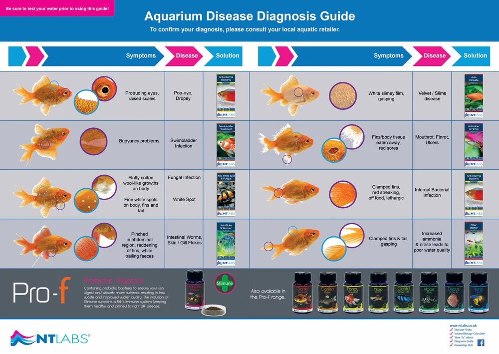 NT LABS Aquarium Anti-Ulcer & Finrot (treat bacteria infection)