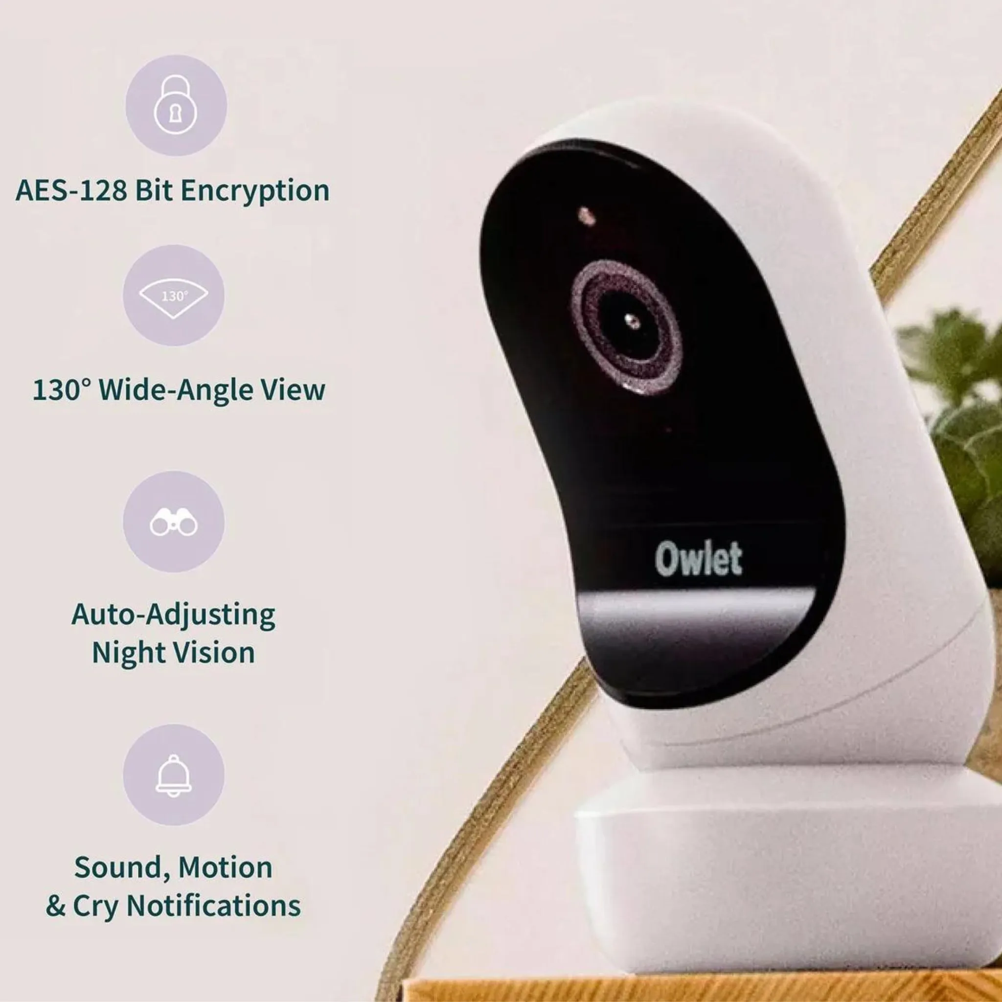 Owlet Dream Sock & Cam2 Bundle