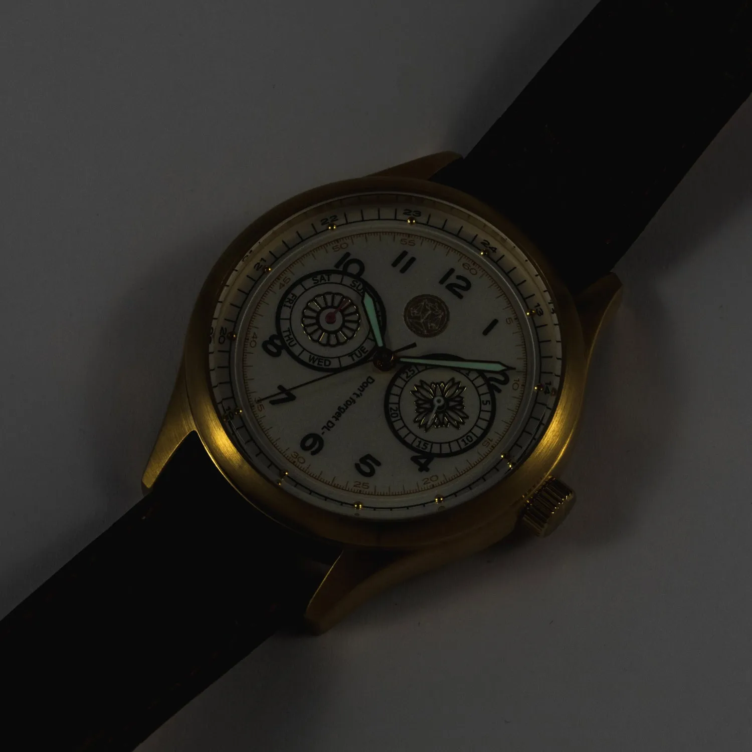 Phoenix Wright: Ace Attorney Model Watch