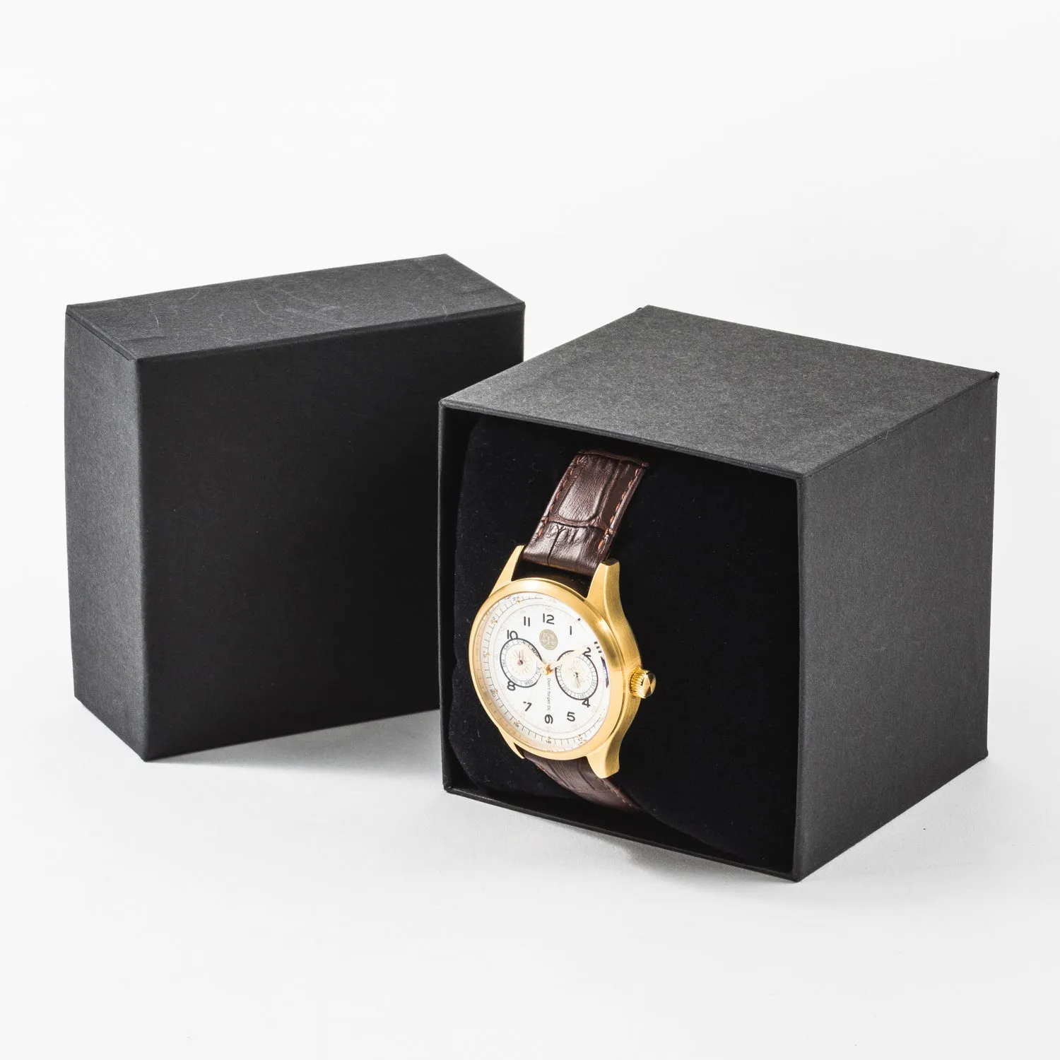 Phoenix Wright: Ace Attorney Model Watch