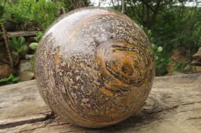Polished Snakeskin Jasper Sphere x 1 From Australia