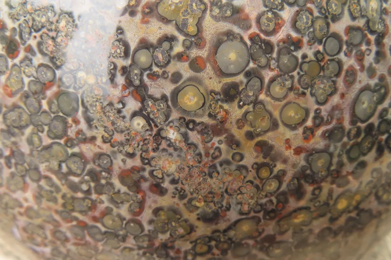 Polished Snakeskin Jasper Sphere x 1 From Australia