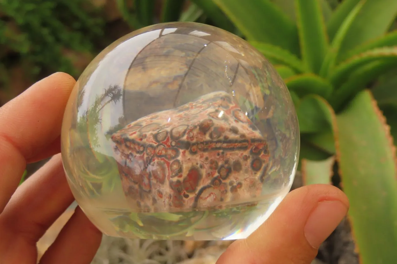 Polished Snakeskin Rhyolite Jasper cobbed piece in PVC Resin Paperweight Sphere - sold per item - From Australia