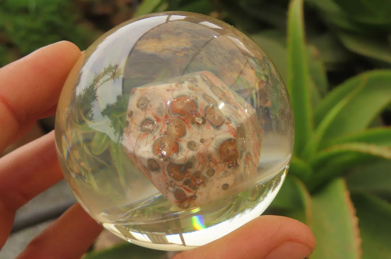 Polished Snakeskin Rhyolite Jasper cobbed piece in PVC Resin Paperweight Sphere - sold per item - From Australia