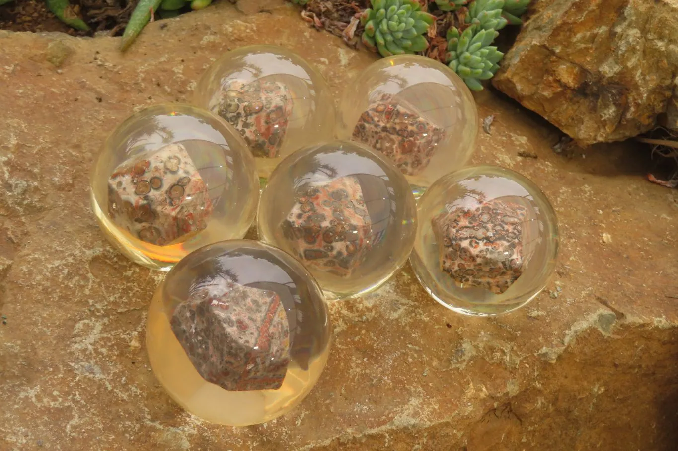 Polished Snakeskin Rhyolite Jasper cobbed piece in PVC Resin Paperweight Sphere - sold per item - From Australia