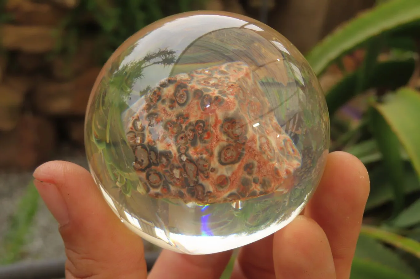 Polished Snakeskin Rhyolite Jasper cobbed piece in PVC Resin Paperweight Sphere - sold per item - From Australia