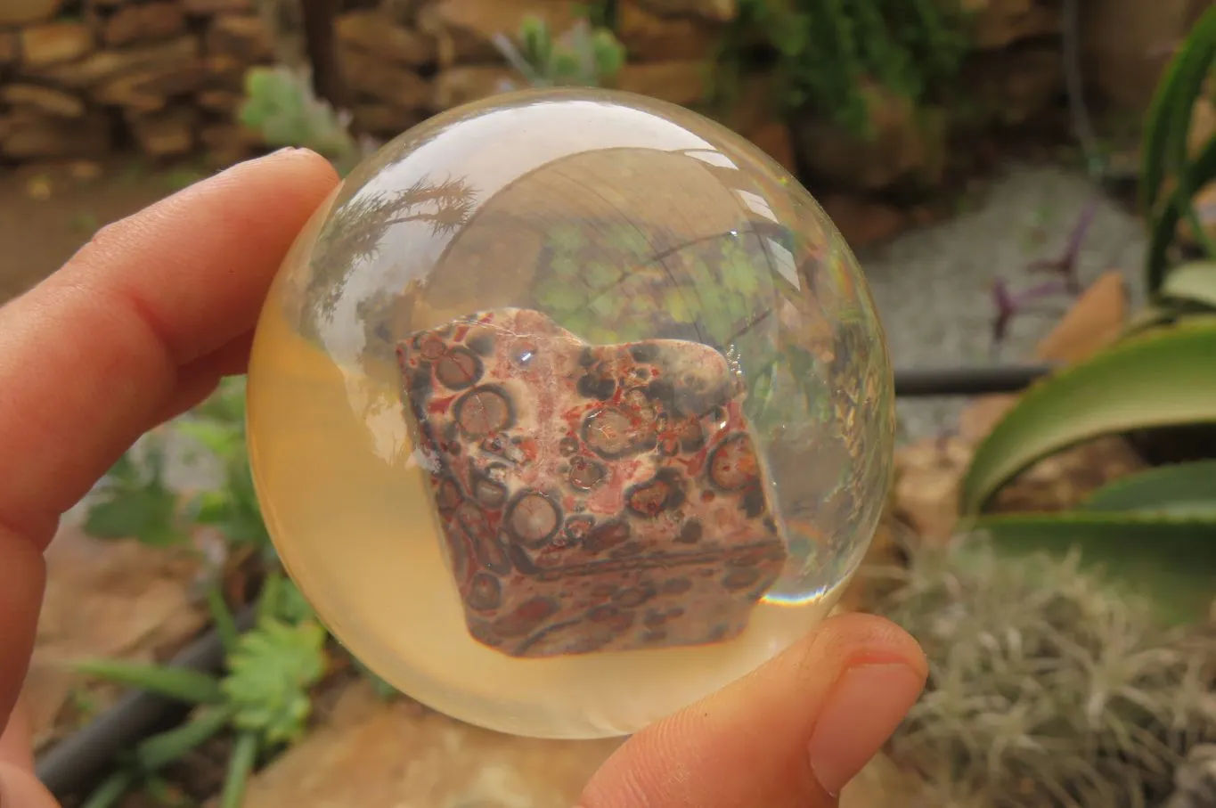 Polished Snakeskin Rhyolite Jasper cobbed piece in PVC Resin Paperweight Sphere - sold per item - From Australia