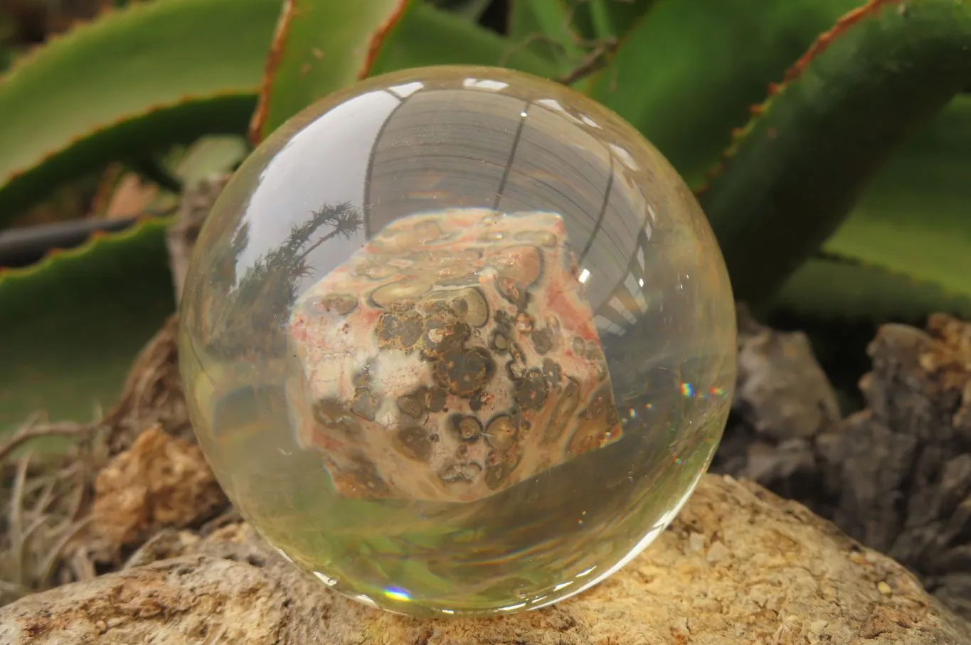 Polished Snakeskin Rhyolite Jasper cobbed piece in PVC Resin Paperweight Sphere - sold per item - From Australia