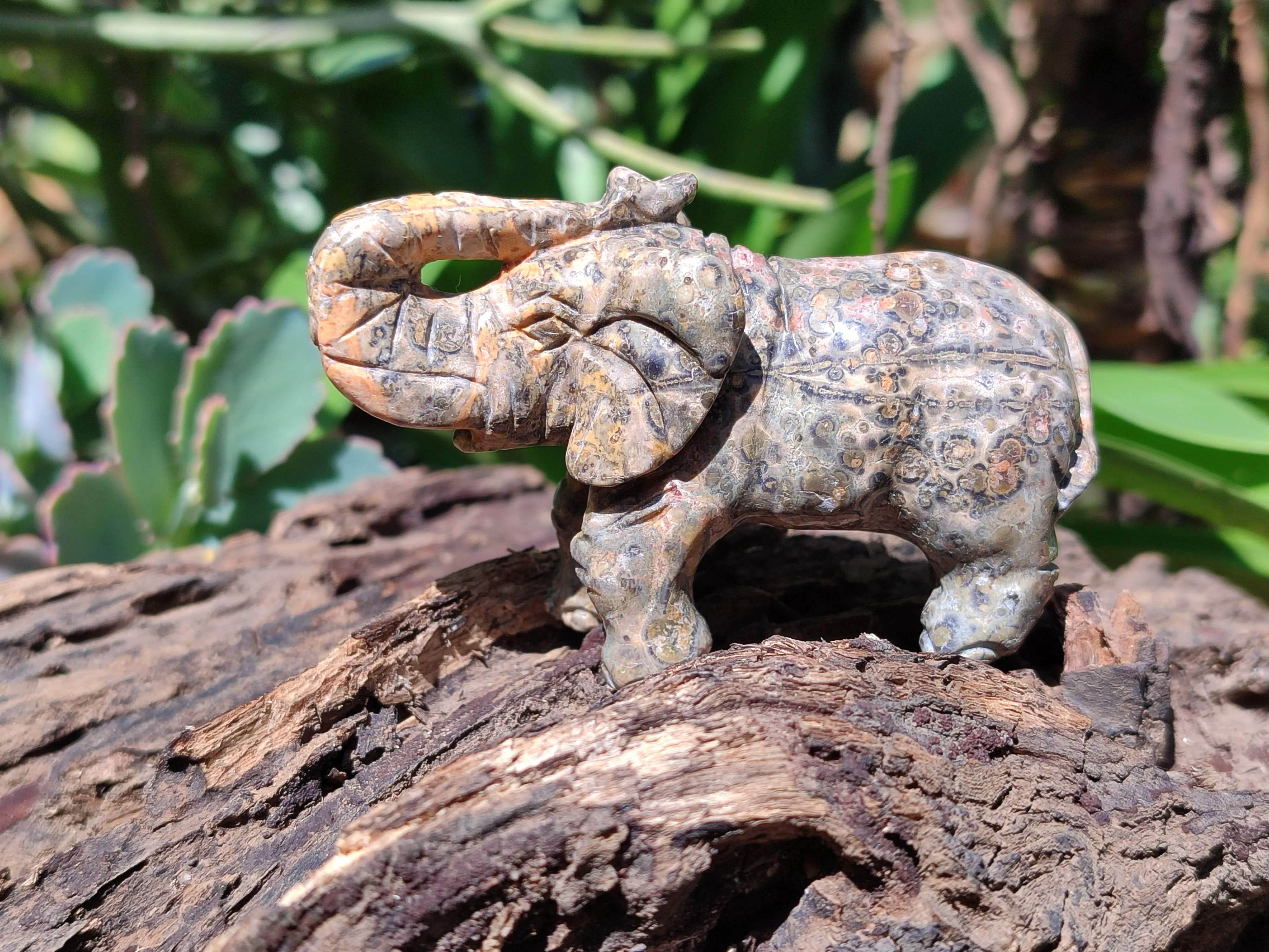 Polished Snakeskin Rhyolite Jasper Elephant Carving - sold per item - From Australia