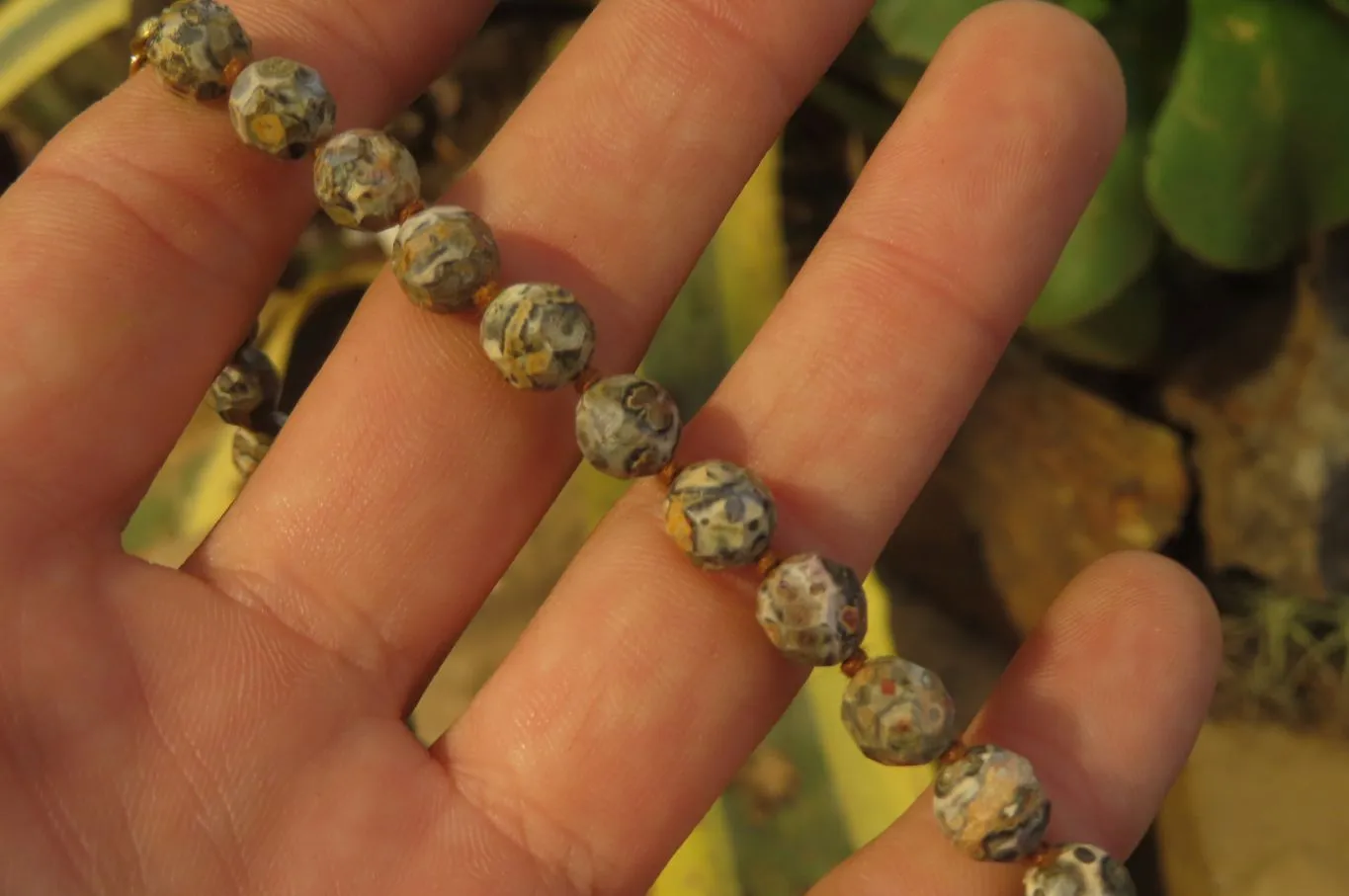 Polished Snakeskin Rhyolite Jasper Faceted Bead Necklace - sold per Pair - From Australia