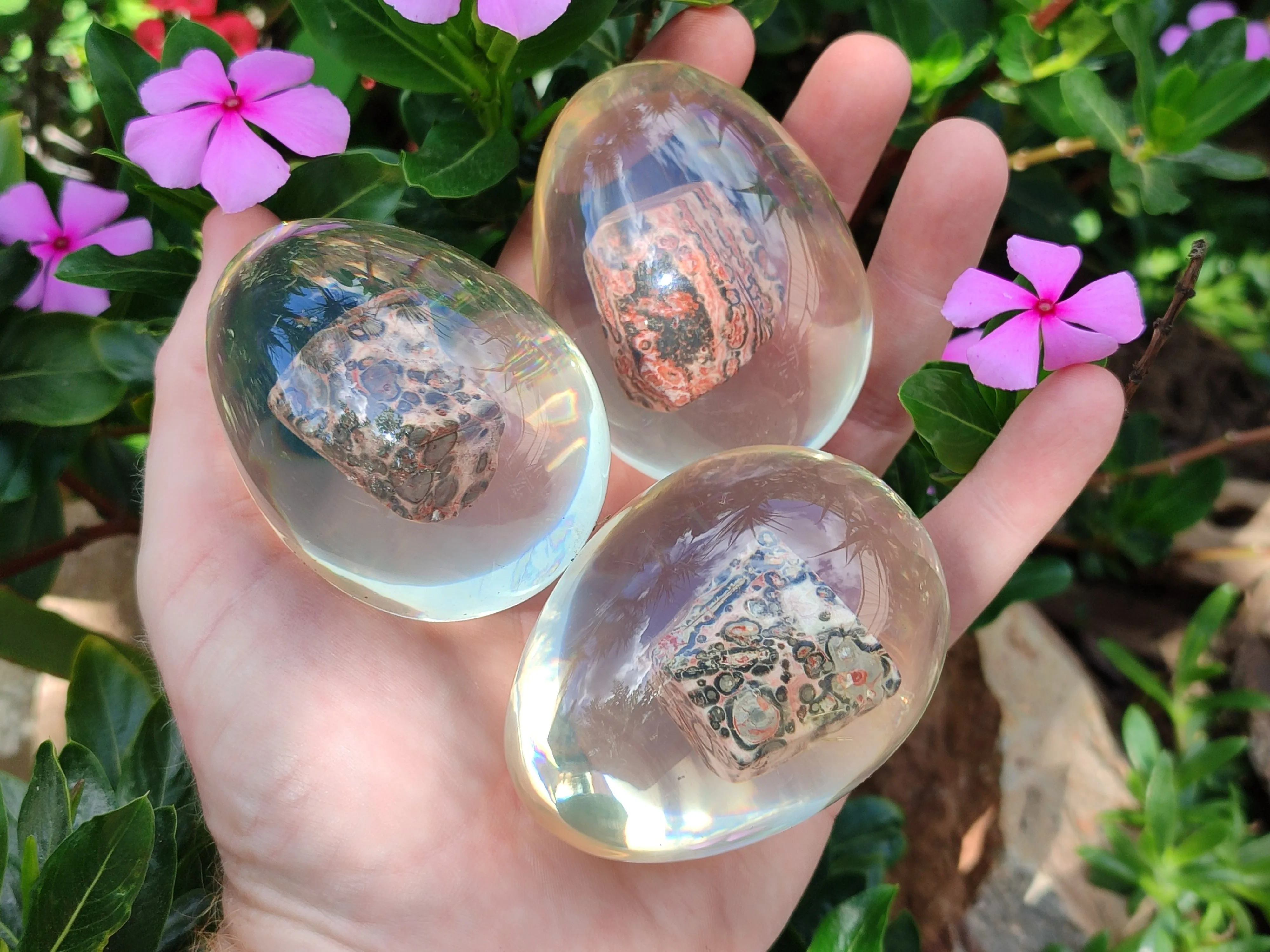 Polished Snakeskin Rhyolite Jasper Specimen In Resin Egg - Sold Per Item - From Australia