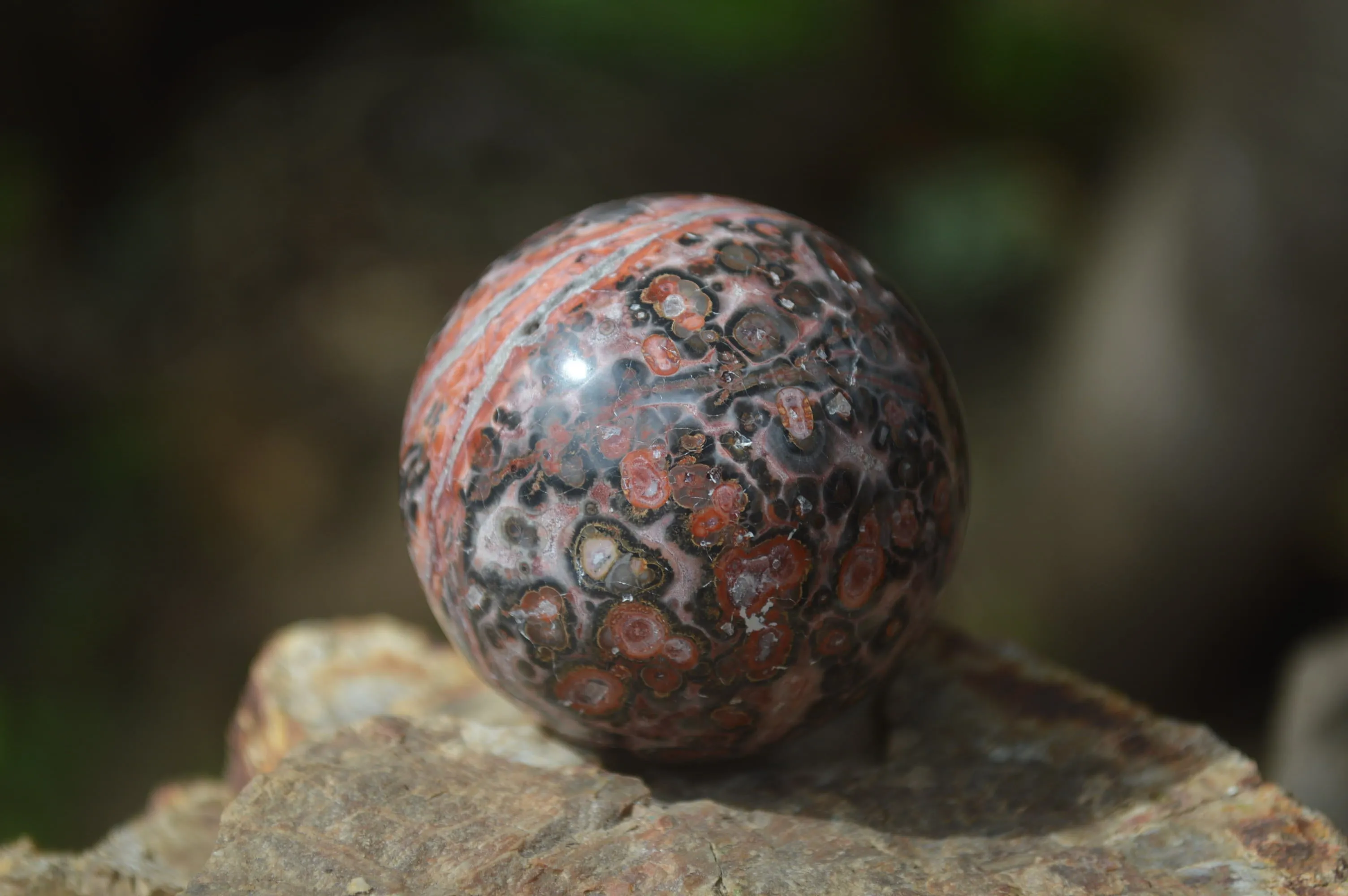 Polished Snakeskin Rhyolite Jasper Sphere - Ball - sold per item - From Australia