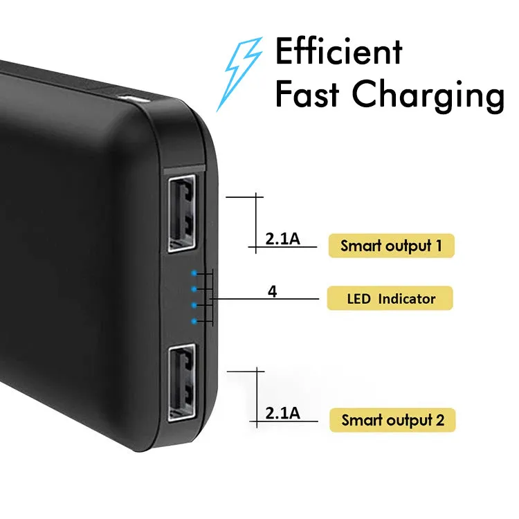 PTron Dynamo Z Dual USB 10000mAh Compact Power Bank for All Smartphones (Black)
