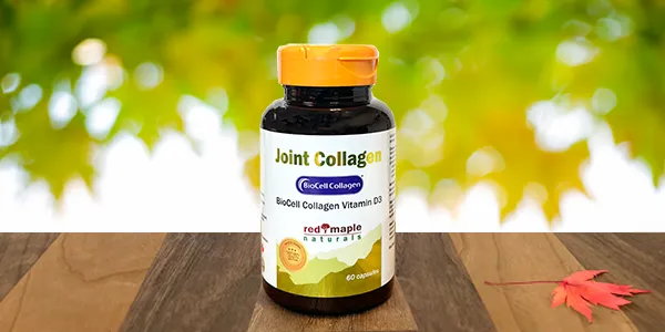 Red Maple Naturals BioCell Joint Collagen 500mg  D3, 60 capsules