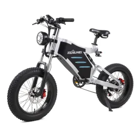 RZOGUWEX Electric Bicycle，20 Inch Off-Road EBIKE for Adults with 48V 25AH Detachable Lithium Ion Battery, 7 Speed Snow Bike with Dual Shock Absorbers and Brush-less Motor
