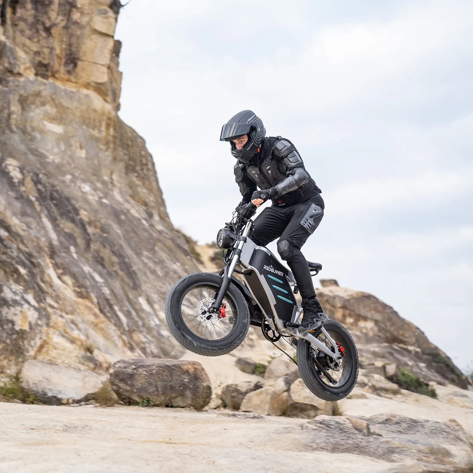 RZOGUWEX Electric Bicycle，20 Inch Off-Road EBIKE for Adults with 48V 25AH Detachable Lithium Ion Battery, 7 Speed Snow Bike with Dual Shock Absorbers and Brush-less Motor